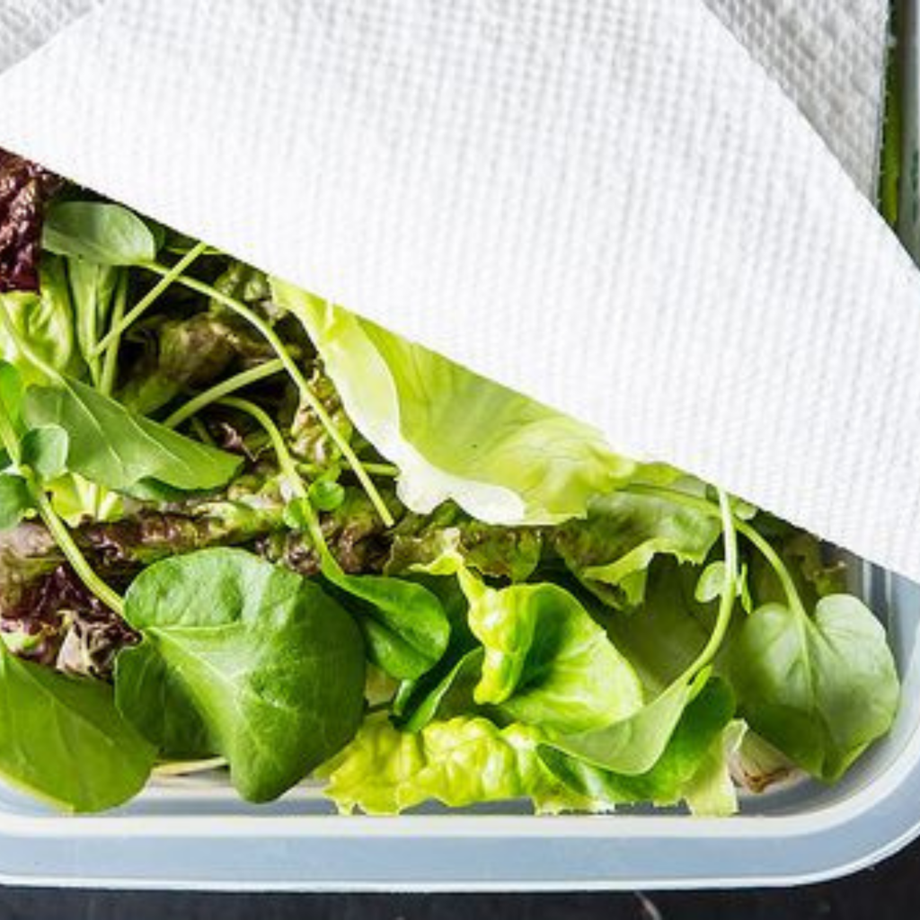 Storage for Longer Lasting Lettuce Produce Bites Produce Bites